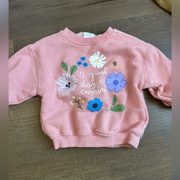 Zara Other - Zara Kids Pink Sweatshirt with Floral Design